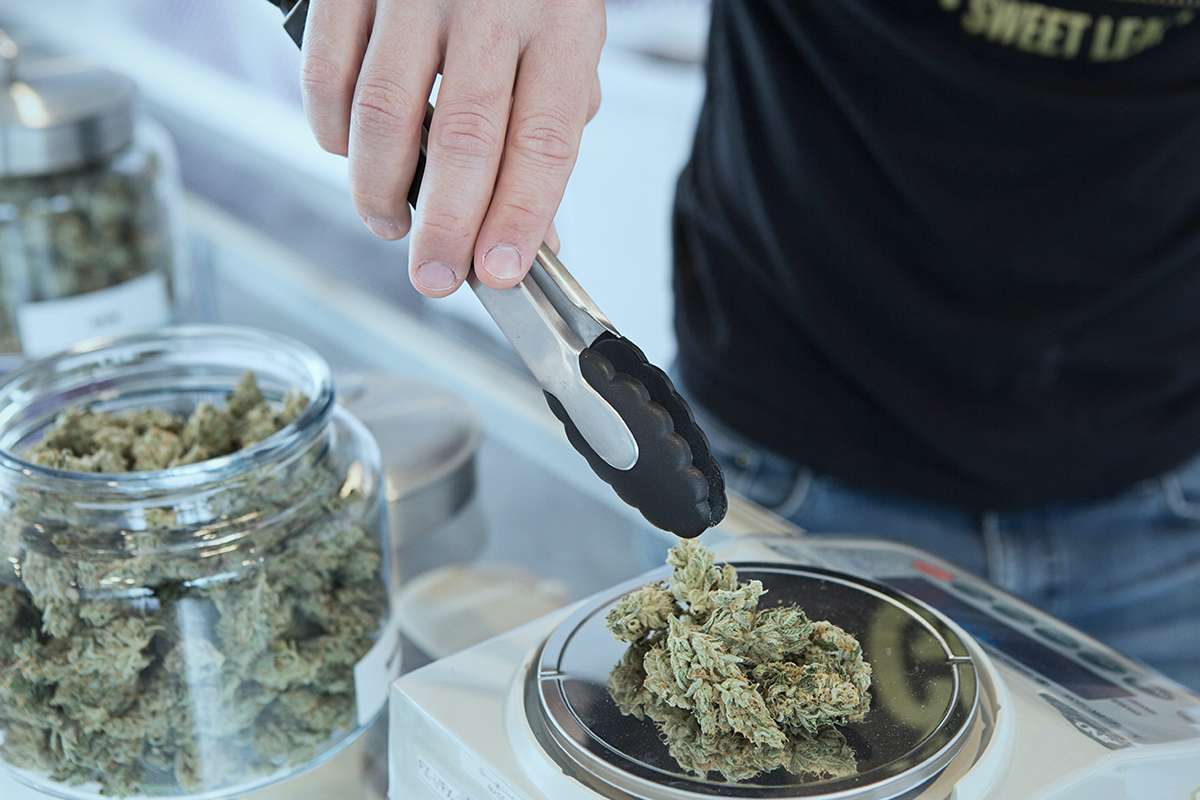 Optic grow light: The cultivation technology at another level