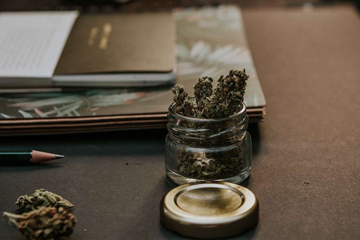 T5 grow light is the right one for indoor growing?