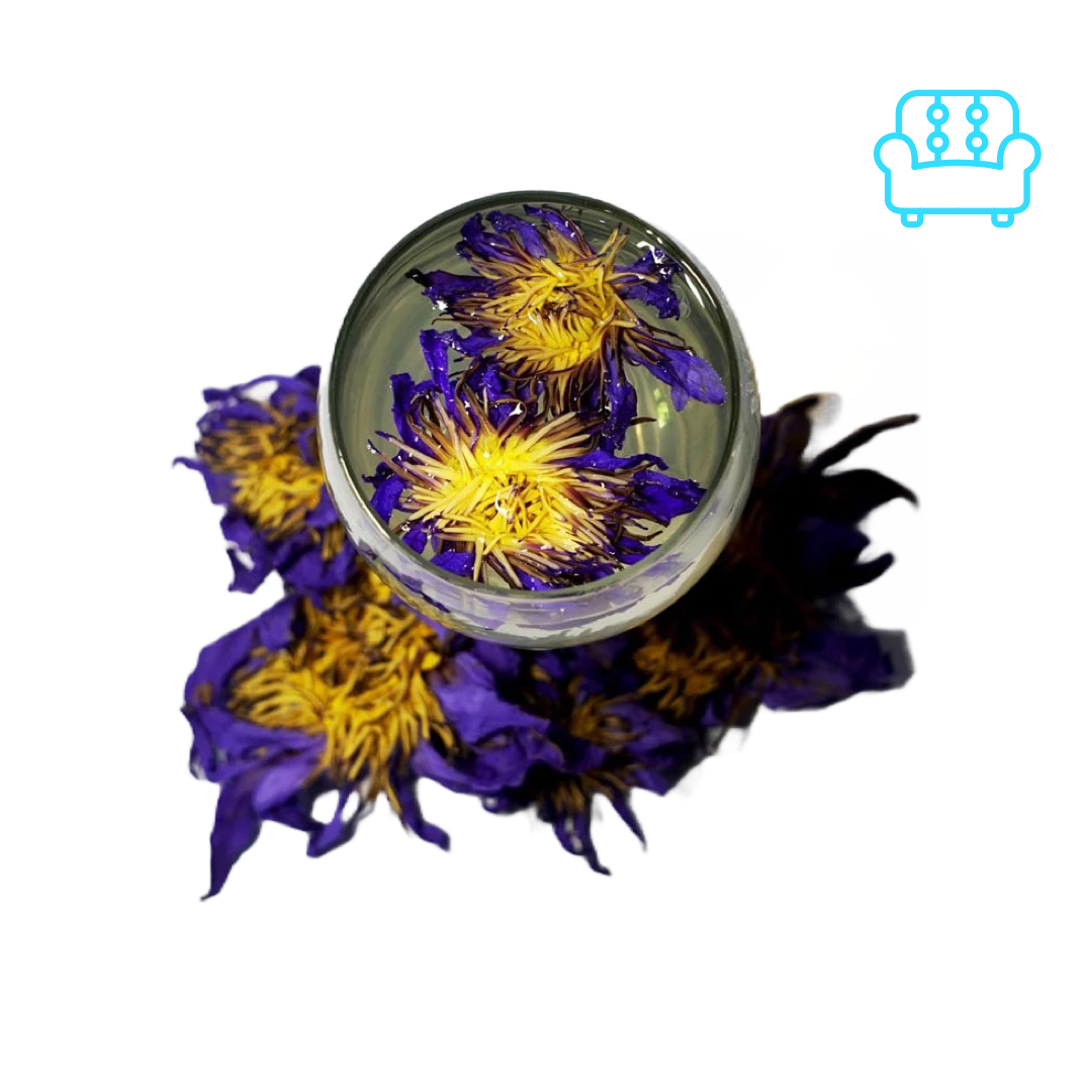 JGO Blue Lotus Tea Kit – 5 grams of premium dried Blue Lotus petals shown steeped in hot water for a calming, ceremonial tea experience